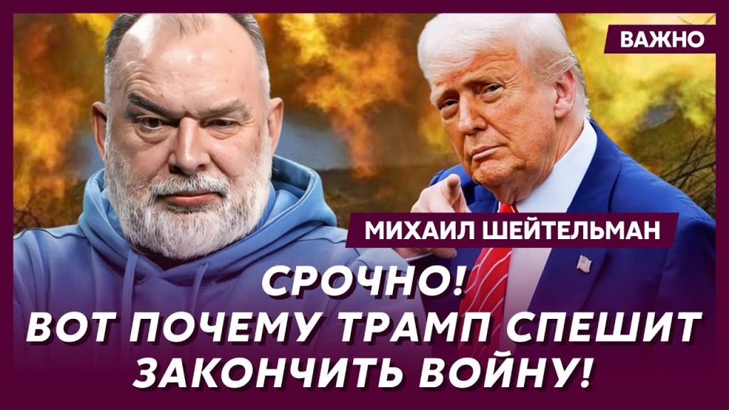Михаил Шейтельман Сын: биография, личная жизнь и профессиональный путь